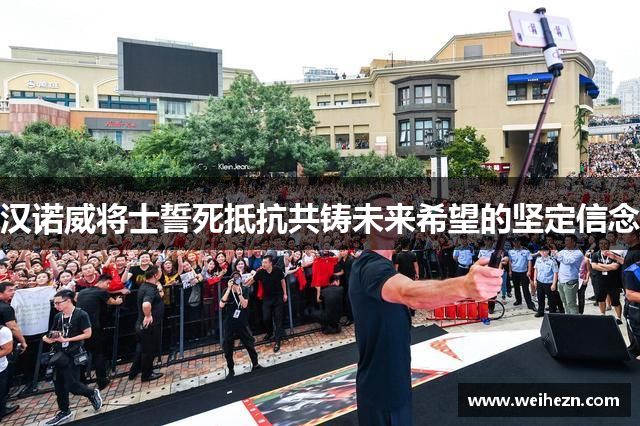 汉诺威将士誓死抵抗共铸未来希望的坚定信念