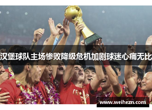 汉堡球队主场惨败降级危机加剧球迷心痛无比