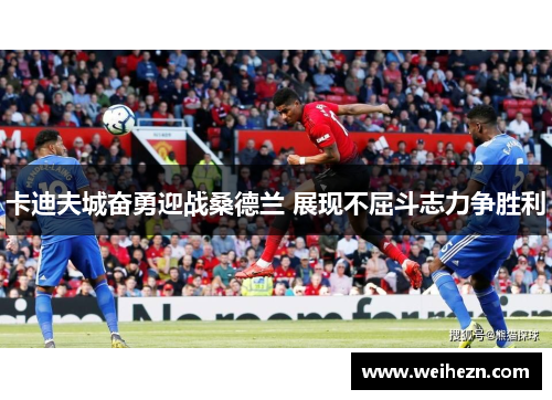 卡迪夫城奋勇迎战桑德兰 展现不屈斗志力争胜利