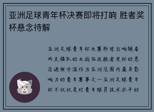 亚洲足球青年杯决赛即将打响 胜者奖杯悬念待解