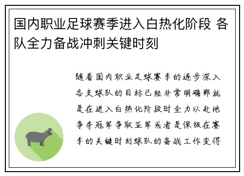 国内职业足球赛季进入白热化阶段 各队全力备战冲刺关键时刻