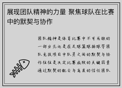 展现团队精神的力量 聚焦球队在比赛中的默契与协作