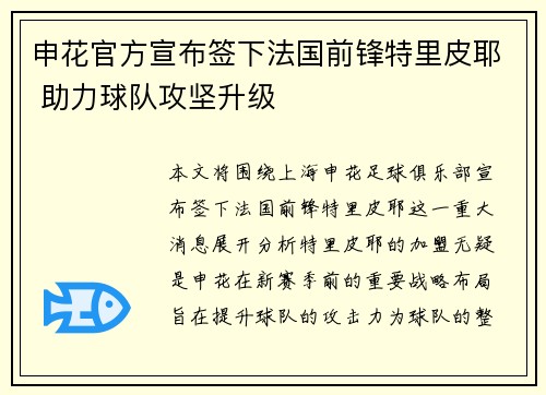 申花官方宣布签下法国前锋特里皮耶 助力球队攻坚升级